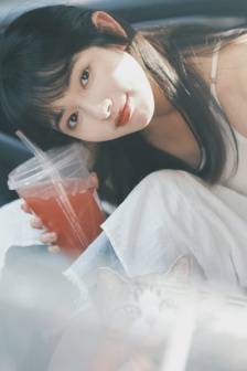 警花燕子